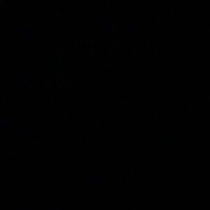 Meet your Posher, Alan